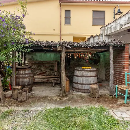 Guesthost - Sa Domo De Murera - Sardinian House *